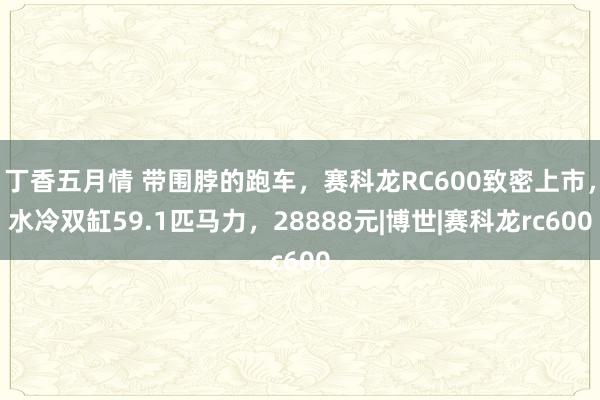 丁香五月情 带围脖的跑车，赛科龙RC600致密上市，水冷双缸59.1匹马力，28888元|博世|赛科龙rc600