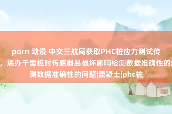 porn 动漫 中交三航局获取PHC桩应力测试传感器装置结构专利，惩办千里桩时传感器易损坏影响检测数据准确性的问题|混凝土|phc桩