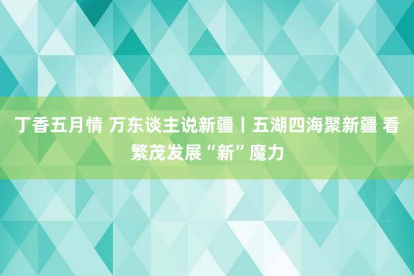 丁香五月情 万东谈主说新疆丨五湖四海聚新疆 看繁茂发展“新”魔力