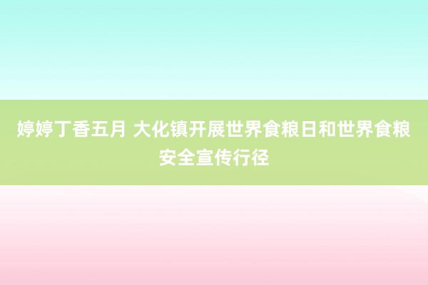 婷婷丁香五月 大化镇开展世界食粮日和世界食粮安全宣传行径