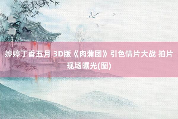 婷婷丁香五月 3D版《肉蒲团》引色情片大战 拍片现场曝光(图)