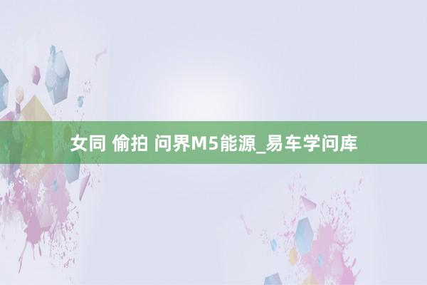 女同 偷拍 问界M5能源_易车学问库