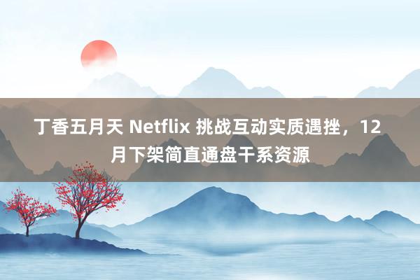 丁香五月天 Netflix 挑战互动实质遇挫，12 月下架简直通盘干系资源