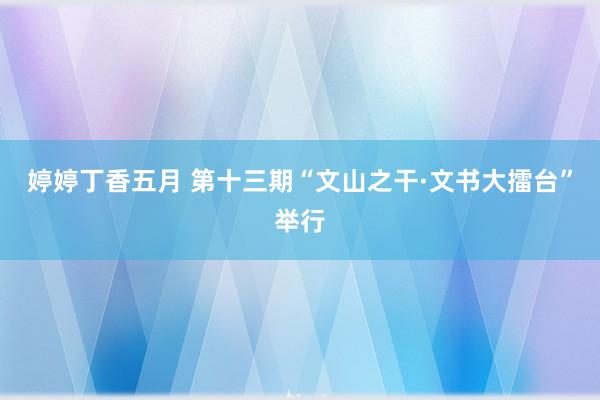 婷婷丁香五月 第十三期“文山之干·文书大擂台”举行