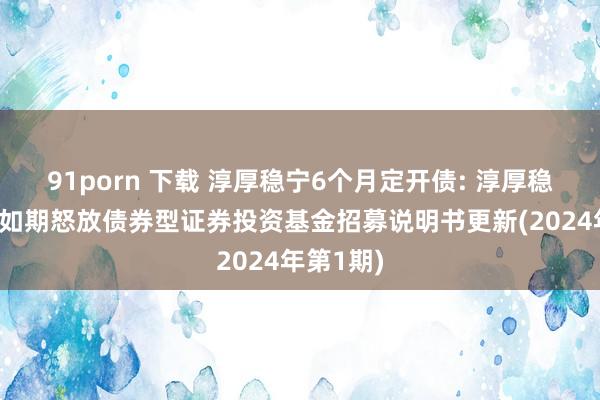 91porn 下载 淳厚稳宁6个月定开债: 淳厚稳宁6个月如期怒放债券型证券投资基金招募说明书更新(2024年第1期)